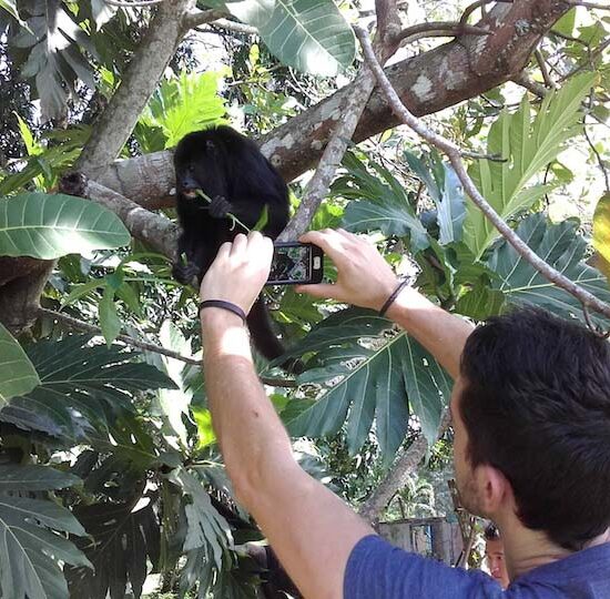 Howler Monkey Expedition