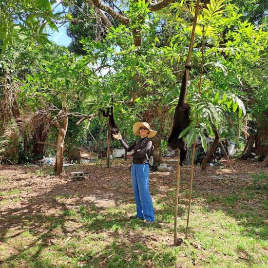 Howler Monkey Expedition