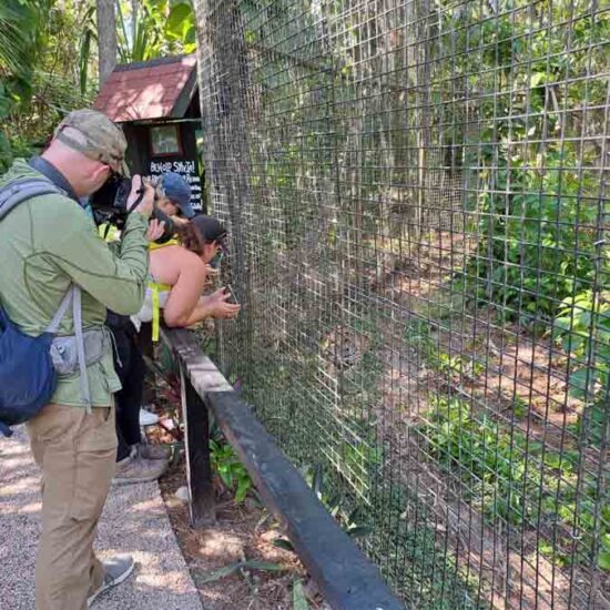 Belize Zoo Tour